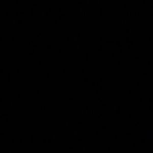 Meet your Posher, Sunshine